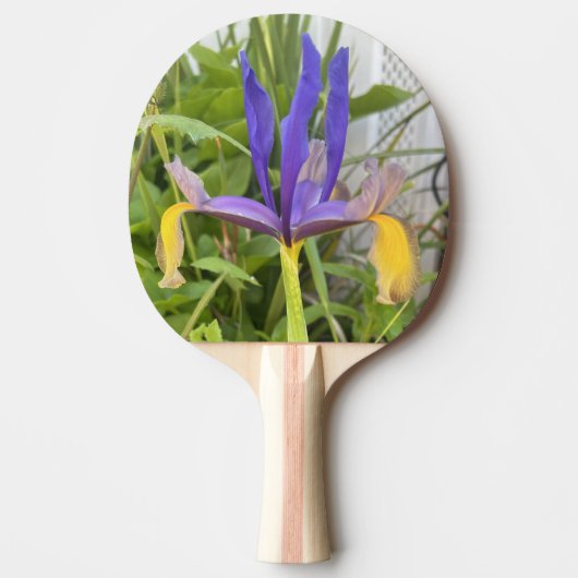 パープルアイリスフラワーアウトドアガーデン自然写真 卓球ラケット (正面)