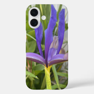 パープルアイリスフラワーアウトドアガーデン自然写真 iPhone 16ケース