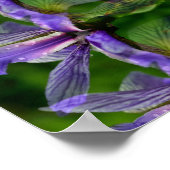 パープルアイリスフラワー抽象芸術 ポスター (角)
