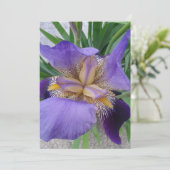 パープルアイリスフラワー空白のフラットカード (スタンド正面)
