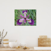 パープルアイリスプリント ポスター (キッチン)