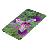 パープルアイリスプレミアムマグネット マグネット (左側)