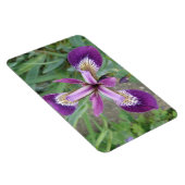 パープルアイリスプレミアムマグネット マグネット (右側)