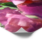 パープルアイリス春フローラ ポスター (角)