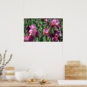 パープルアイリス春フローラ ポスター (キッチン)