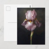 パープルアイリス絵を描植物薬 ポストカード (正面/裏面)
