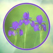 パープルアイリス絵画ズ – オリジナルフラワーアート ウィンドウサイン (シート3)