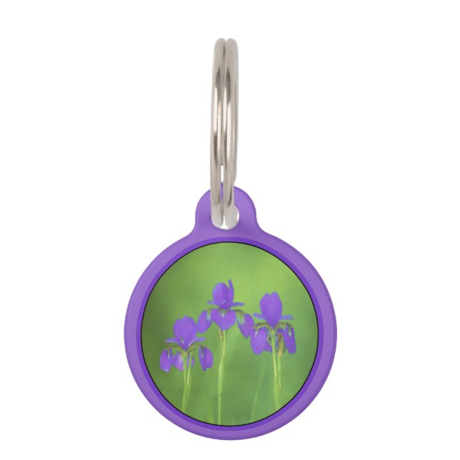 パープルアイリス絵画ズ – オリジナルフラワーアート ペット　ネームタグ (正面)