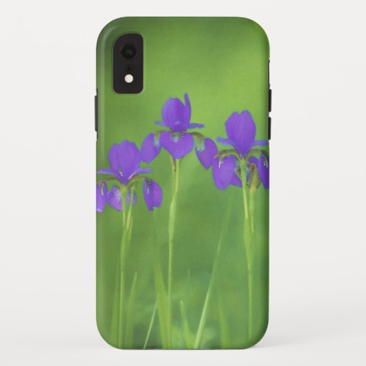 パープルアイリス絵画ズ – オリジナルフラワーアート Case-Mate iPhoneケース (裏面)
