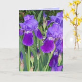パープルアイリス誕生日カード カード (黄色い花)