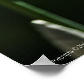 パープルアイリス8393プリント ポスター (角)