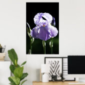 パープルアイリス8393プリント ポスター (ホームオフィス)