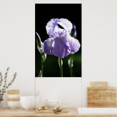パープルアイリス8393プリント ポスター (キッチン)