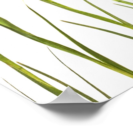 パープルアイリス – アイリスフラワーカスタマイズテンプレート ポスター (角)