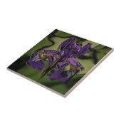 パープルアイリス タイル (側面)