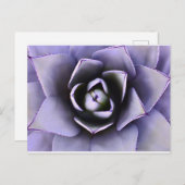 パープルアガベプラントポストカード ポストカード (正面/裏面)