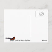 パープルアスター花アット山レイニア ポストカード (裏面)