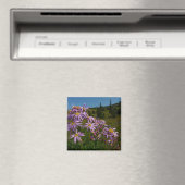 パープルアスター花アット山レイニア マグネット (インサイチュ (食洗機))