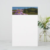 パープルアスター花アット山レイニア 便箋 (スタンド正面)