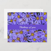 パープルアスター花at RHS Garden Wisley 考える's ポストカード (正面/裏面)