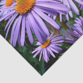 パープルアスター 薄葉紙 (詳細)