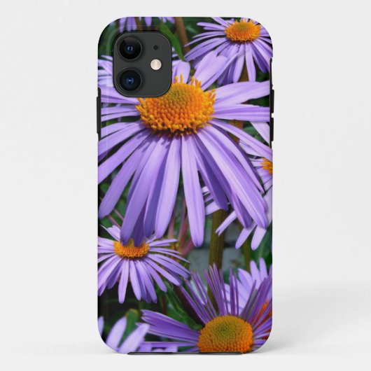 パープルアスターiPhone 5ケース Case-Mate iPhoneケース (裏面)