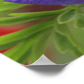 パープルアネモン ポスター (角)