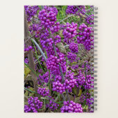 パープルアメリカンボーティベリー植物学 ノートブック (裏面)