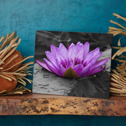 パープルウォーターリリー002黒と白の背景 フォトプラーク (側面)