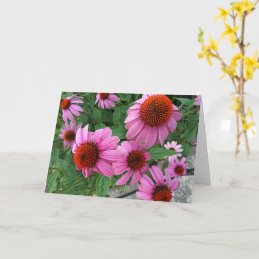 パープルエキナセアエククレシアテス聖書の聖句誕生日 カード (黄色い花)