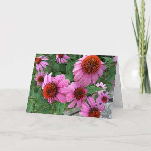 パープルエキナセアエククレシアテス聖書の聖句誕生日 カード (正面)