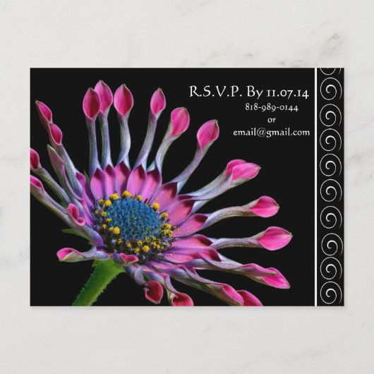 パープルエレガントエキゾチックデイジー結婚式招待状 インビテーションポストカード (裏面)