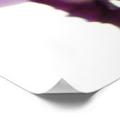 パープルエレガントカトレヤラン ポスター (角)