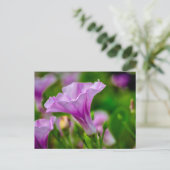 パープルエレガント開花(フォーカスあり) ポストカード (スタンド正面)