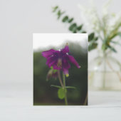 パープルオダマキ（植物）はがき ポストカード (スタンド正面)