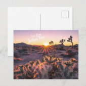 パープルオレンジチョラサボツヨシュアツリーサンセット ポストカード (正面/裏面)