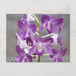 パープルオーキッズカウアイハワイ ポストカード