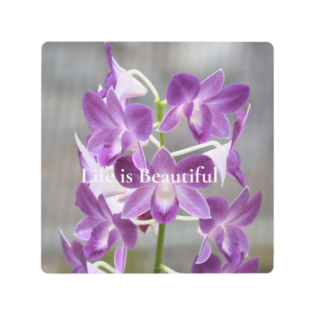 パープルオーキッズカウアイハワイ メタルプリント (正面)