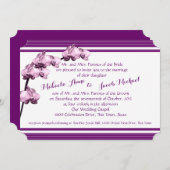 パープルオーキッドとストライプ 招待状 (正面/裏面)