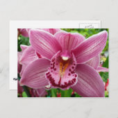 パープルオーキッドエレガントフローラ ポストカード (正面/裏面)