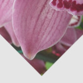 パープルオーキッドエレガントフローラ 薄葉紙 (詳細)