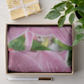 パープルオーキッドエレガントフローラ 薄葉紙 (ギフト)