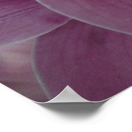 パープルオーキッド&ガーデンカラフルフローラ ポスター (角)