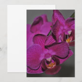 パープルオーキッド 招待状 (正面/裏面)