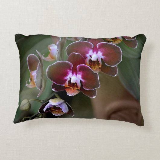 パープルオーキンスボタニカルフローラ写真 アクセントクッション (裏面)