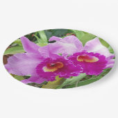 パープルカトレヤラン ペーパープレート (アングル)