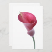 パープルカラリリー招待状 招待状 (正面/裏面)