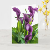パープルカラリリー カード (黄色い花)