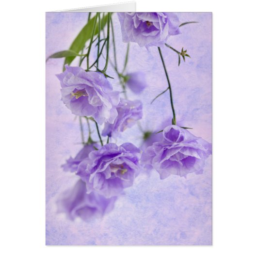 パープルカンパネラフラワーズマクロカード (正面)