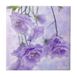 パープルカンパネラフラワーズマクロ タイル